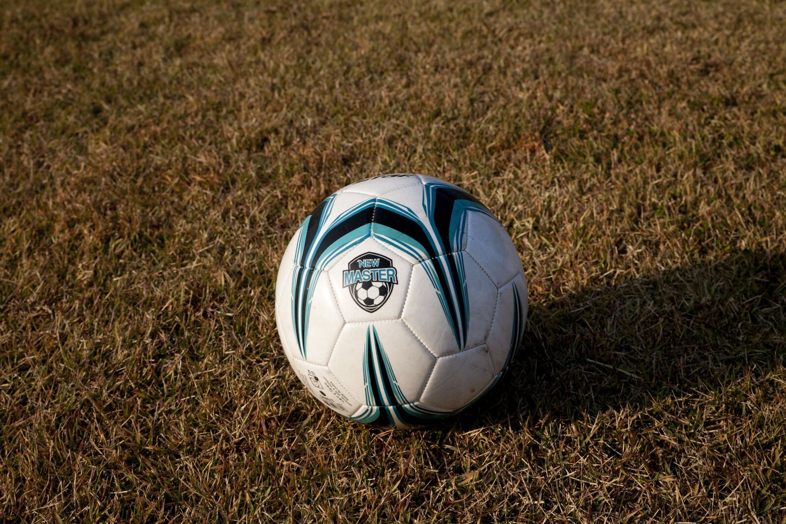 Canon EOS 5D sample photo. Football, grass, ball photography