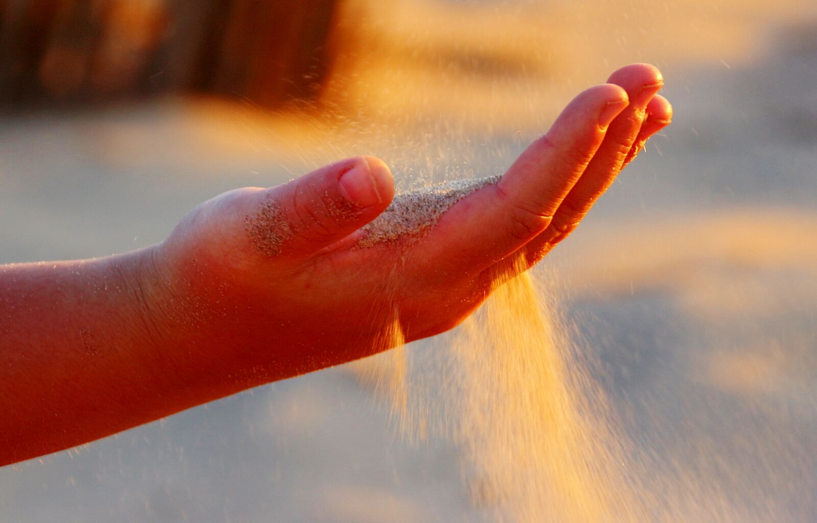 Canon EOS 650D (EOS Rebel T4i / EOS Kiss X6i) sample photo. Hand, open, finger photography