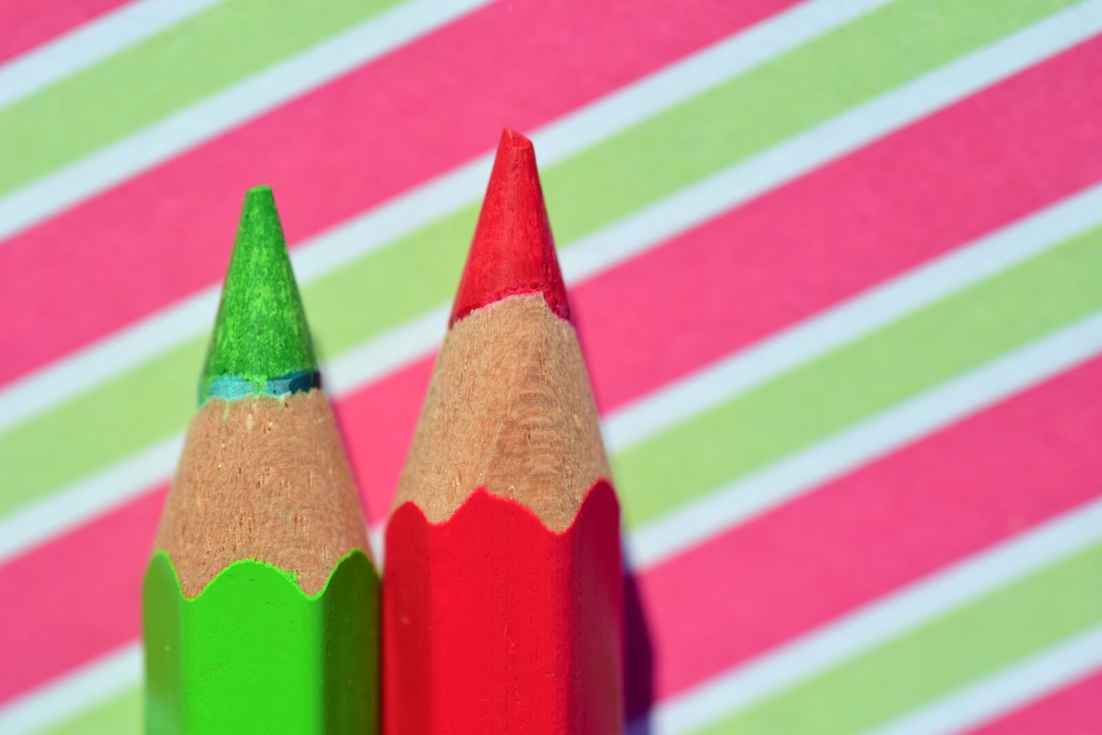 Nikon D3300 sample photo. Pens, colored pencils, colorful photography