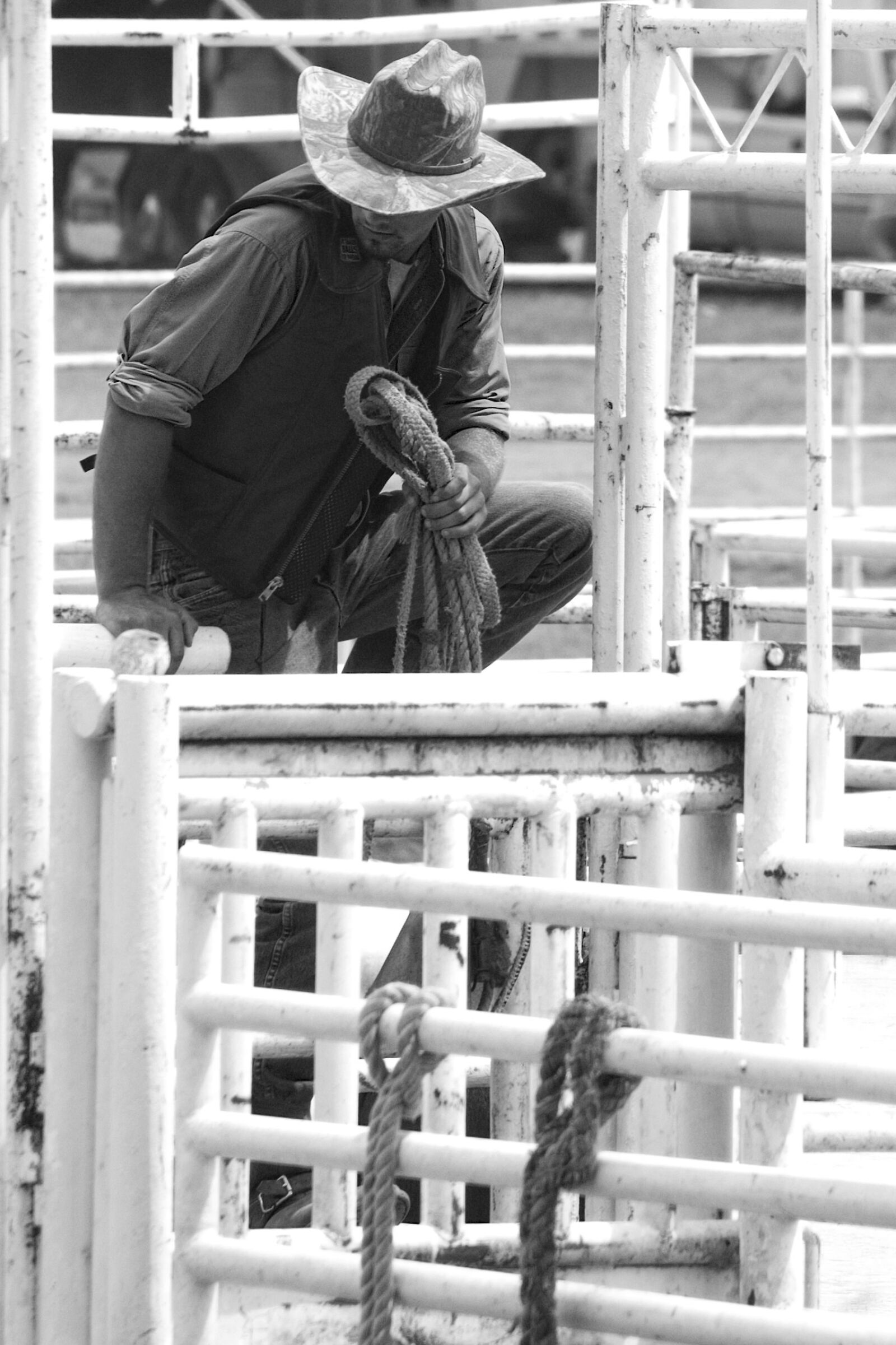 Nikon D70 sample photo. Rodeo, horse, animal photography