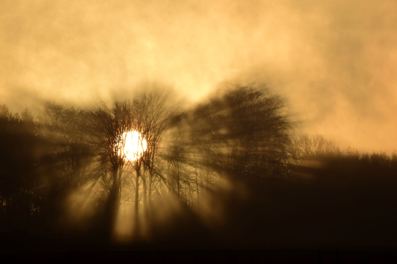 Nikon D3300 sample photo. Twilight, sunrise, backlighting photography