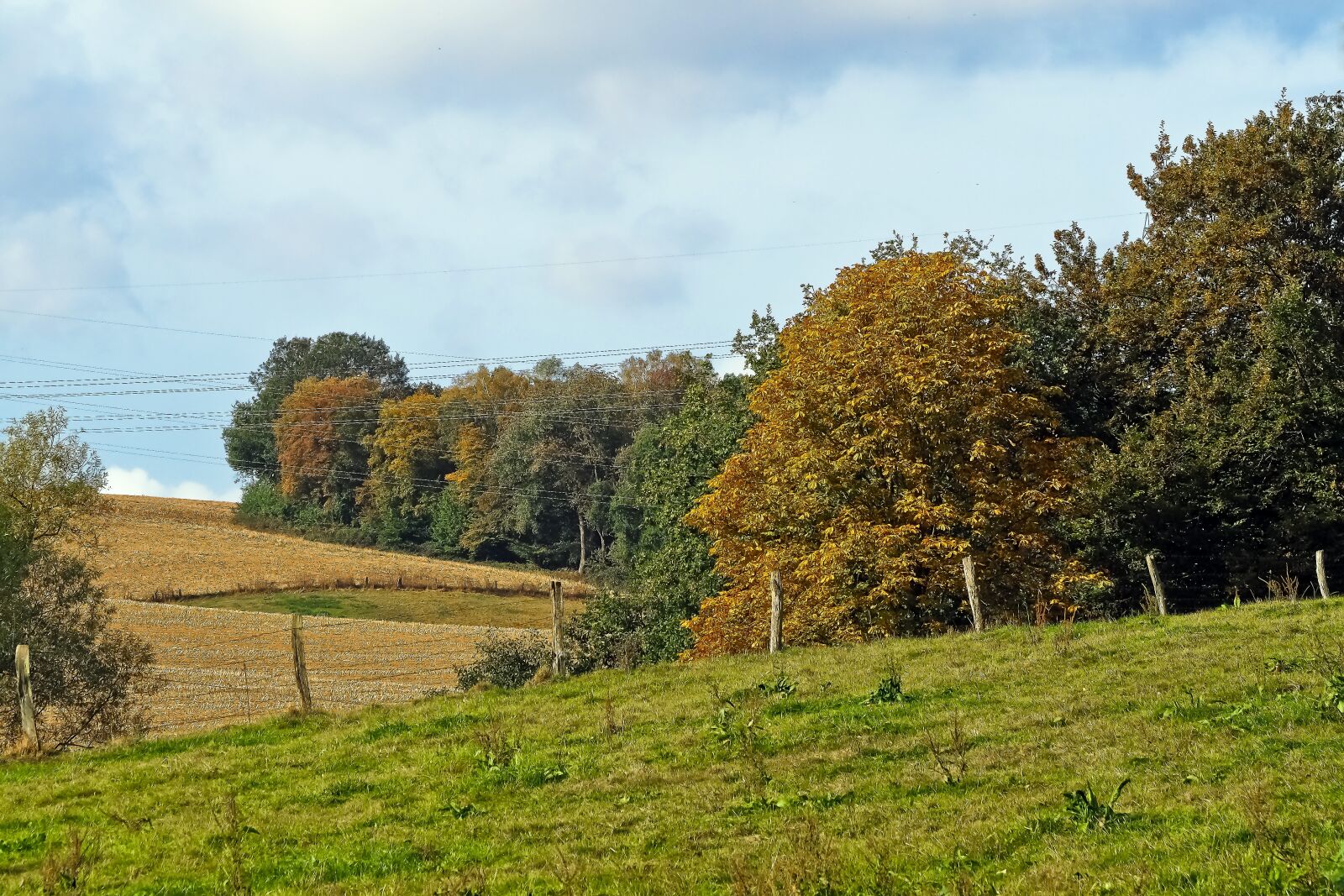 Olympus OM-D E-M10 sample photo. Landscape, autumn, nature photography