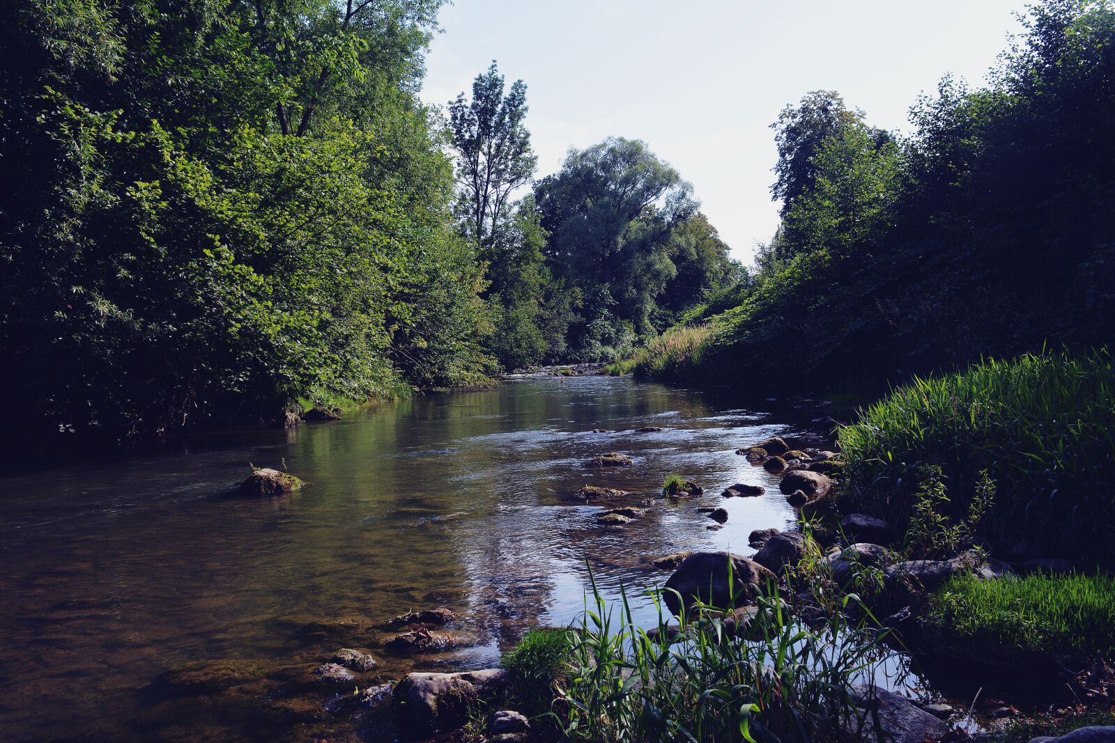 Nikon D5200 sample photo. River, water, trees photography