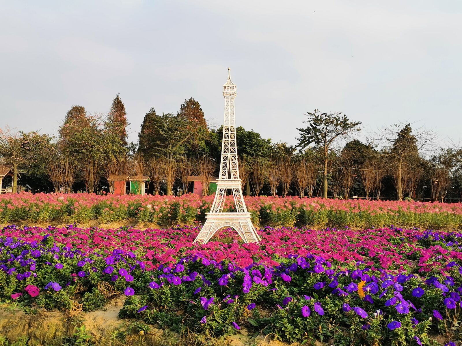 HUAWEI P30 sample photo. Tower, flower, garden photography