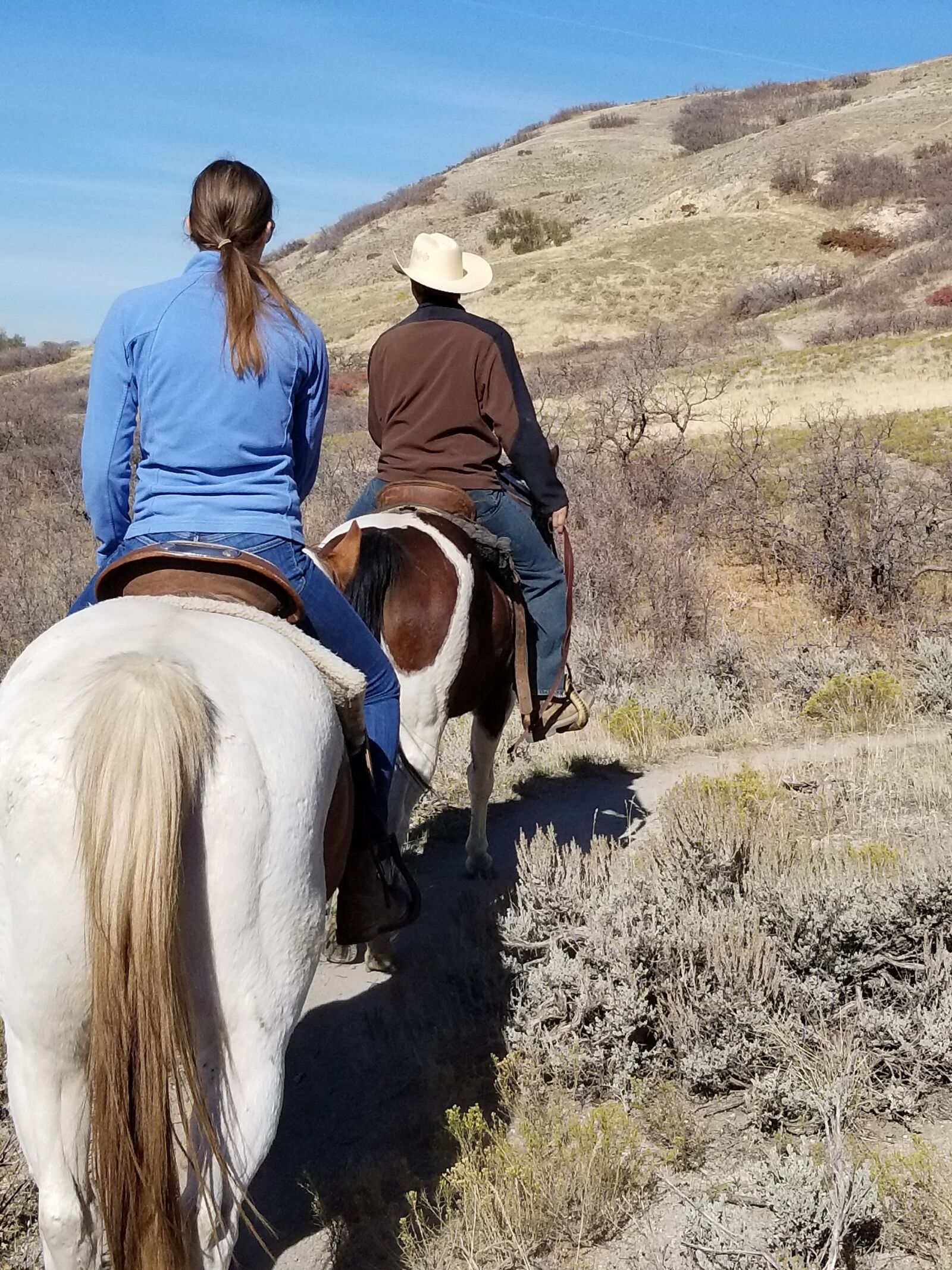 Samsung Galaxy S8 sample photo. Horse, riding, nature photography
