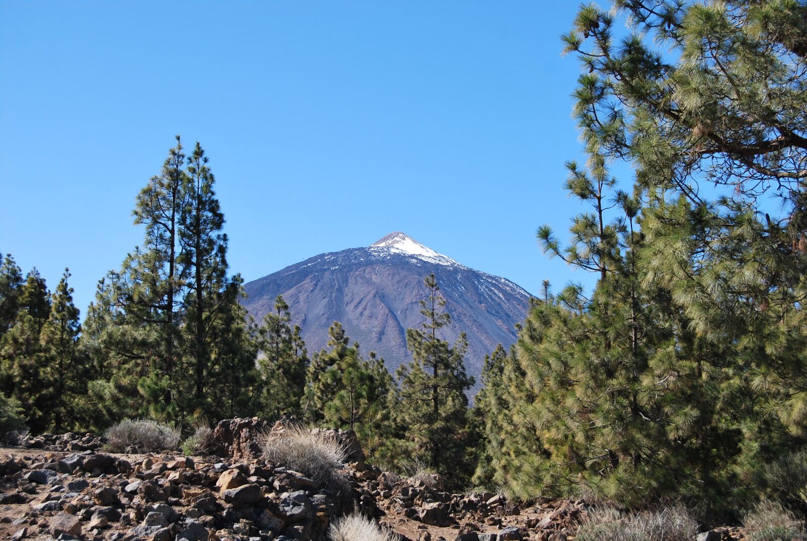 Nikon D60 sample photo. Canary islands, teide, nature photography