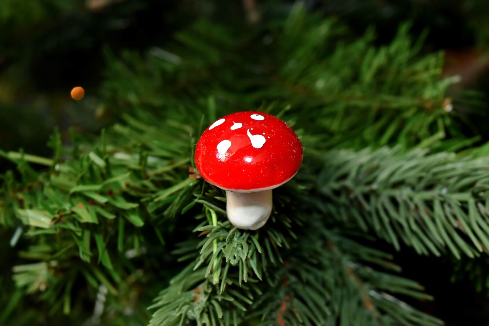 Nikon D5500 sample photo. Decorative, detail, christmas, mushroom photography