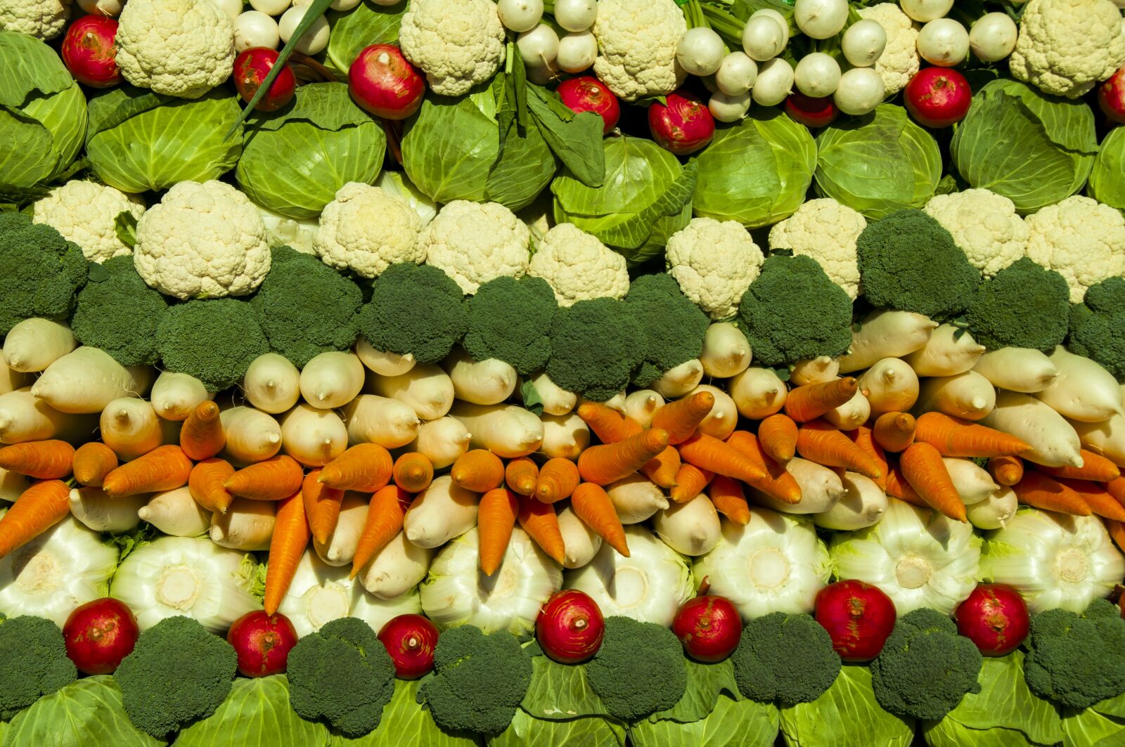 Nikon D90 sample photo. Vegetables, cabbage, carrot photography