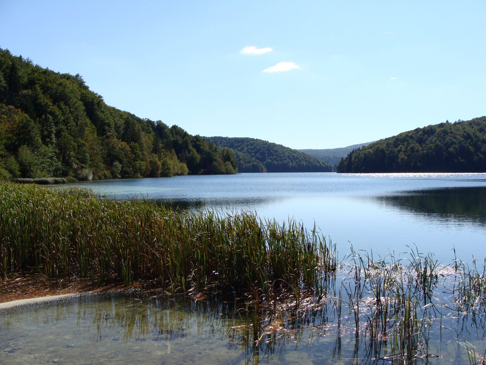 Sony Cyber-shot DSC-H10 sample photo. Nature, lake, water photography