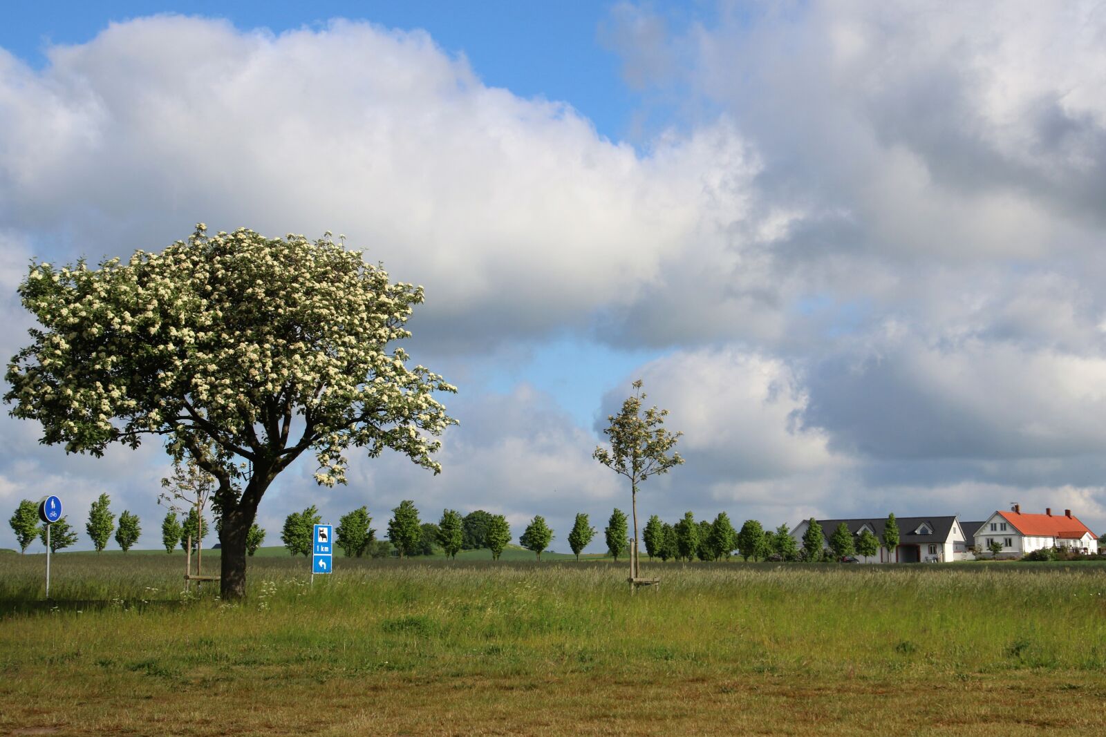 Canon EOS 7D Mark II sample photo. Blue, blue, sky, clouds photography