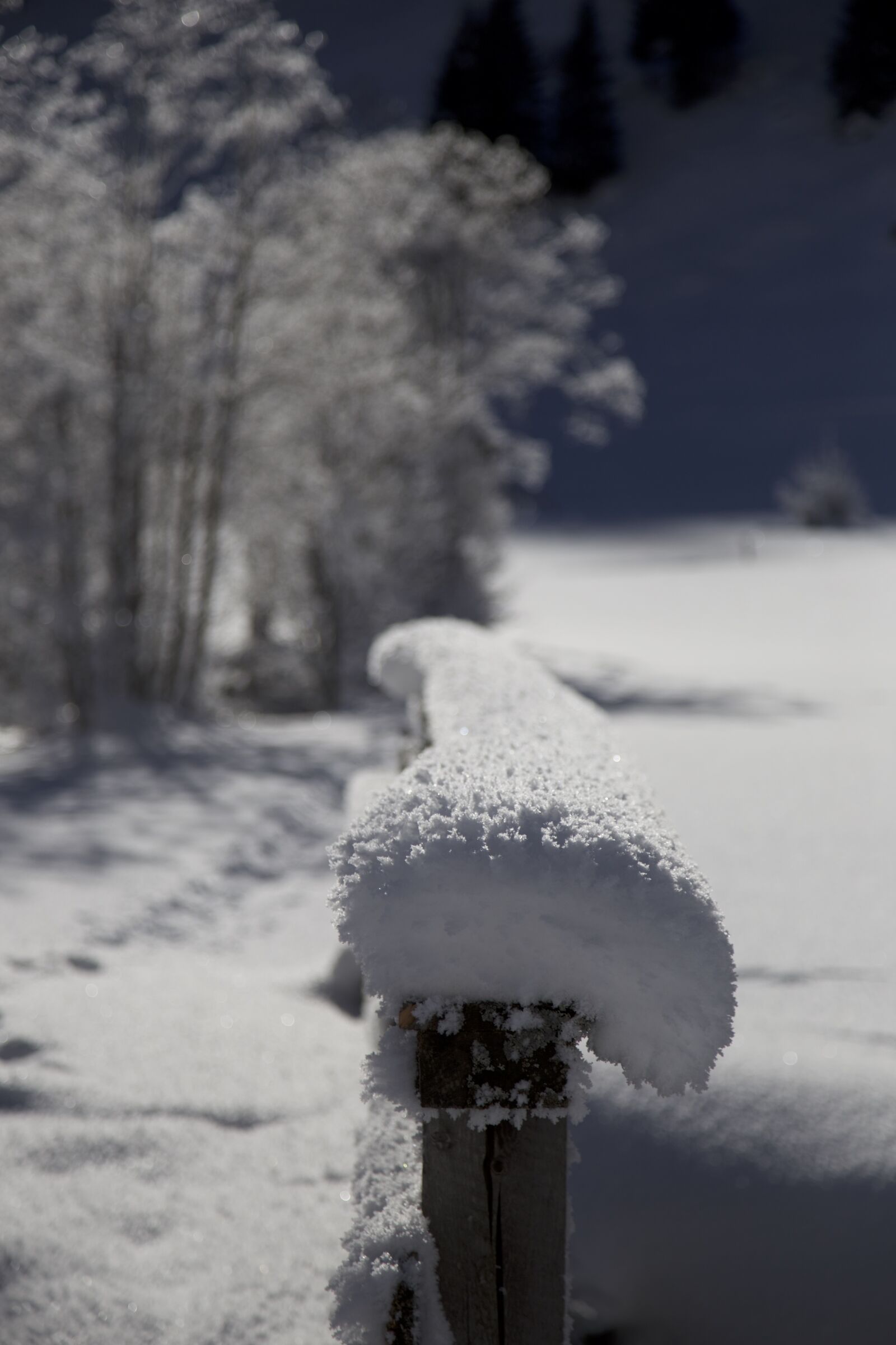 Canon EOS 6D + Canon EF 24-105mm F4L IS USM sample photo. Wintry, snow, snowy photography