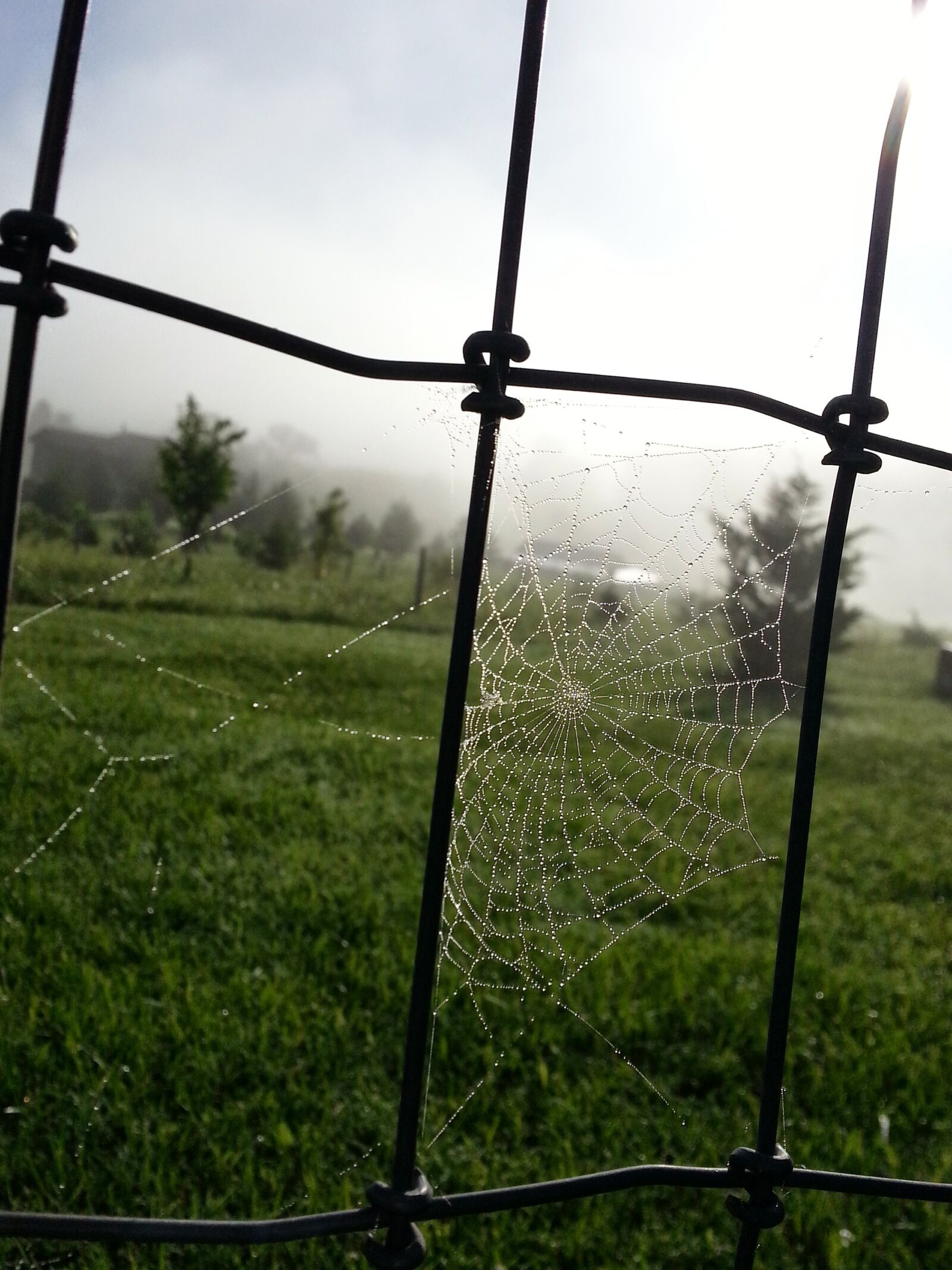 Samsung Galaxy Note2 sample photo