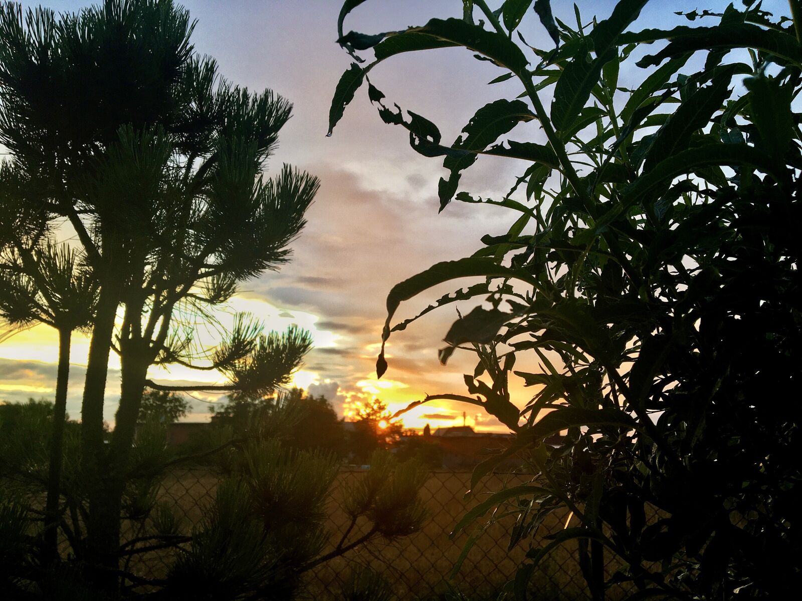 Apple iPhone 6s sample photo. Twilight, evening, west photography