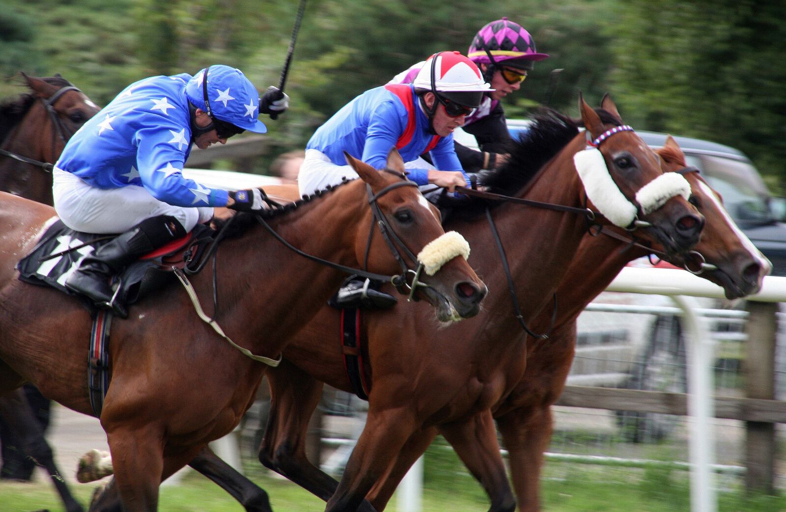 Canon EOS 350D (EOS Digital Rebel XT / EOS Kiss Digital N) sample photo. Horses, racing, equestrian photography