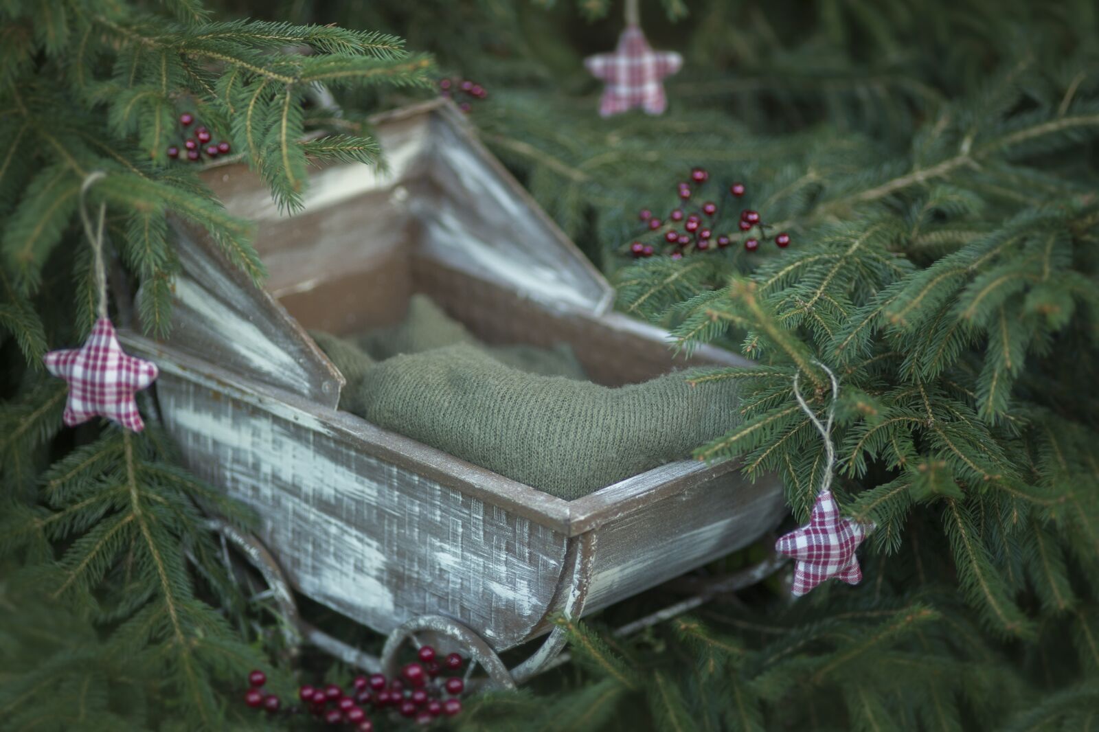 ZEISS Makro-Planar T* 100mm F2 sample photo. Christmas, digital background, newborn photography