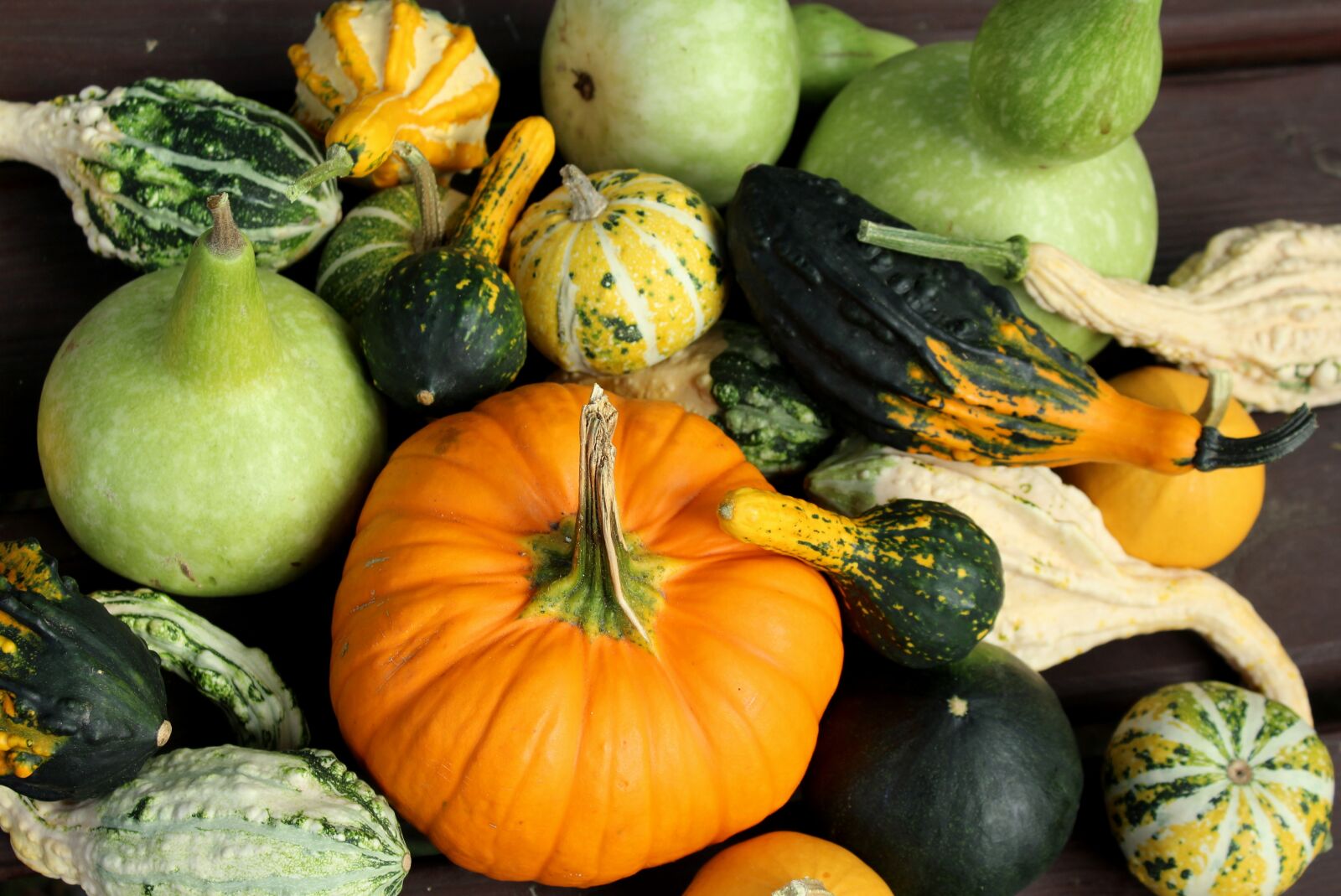 Canon EOS 1200D (EOS Rebel T5 / EOS Kiss X70 / EOS Hi) sample photo. Pumpkins, ornamental pumpkins, collections photography