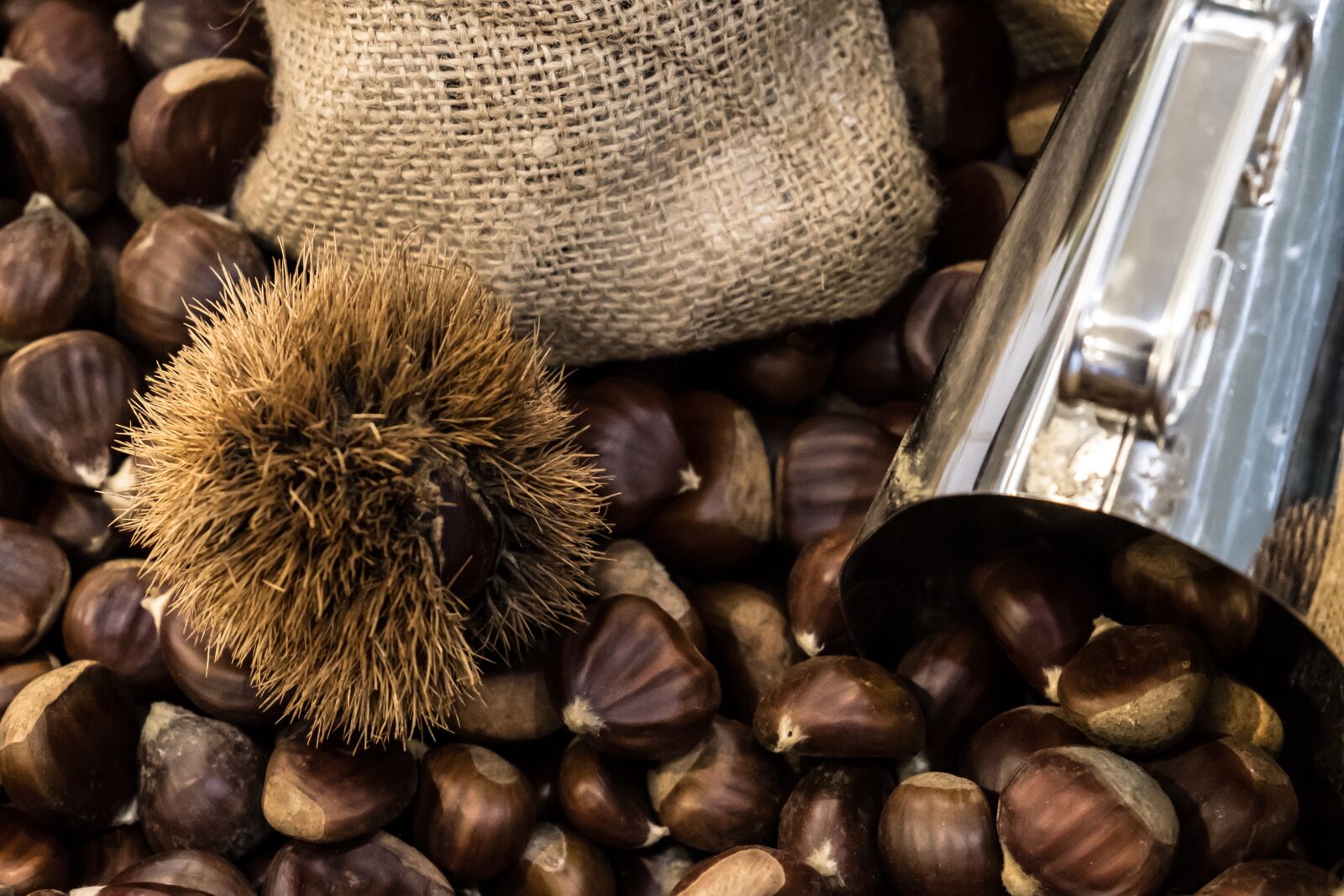 Fujifilm X-T2 sample photo. Chestnuts, autumn, cold photography