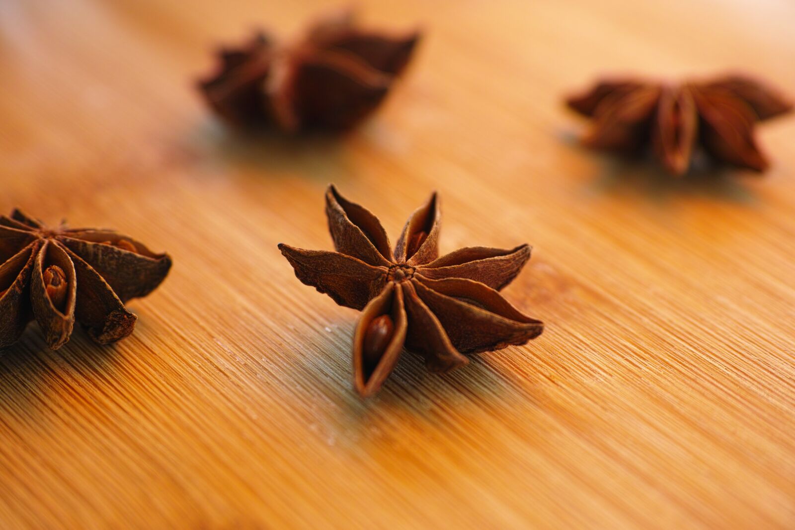 Sigma DP3 Merrill sample photo. Anise, macro, scented photography