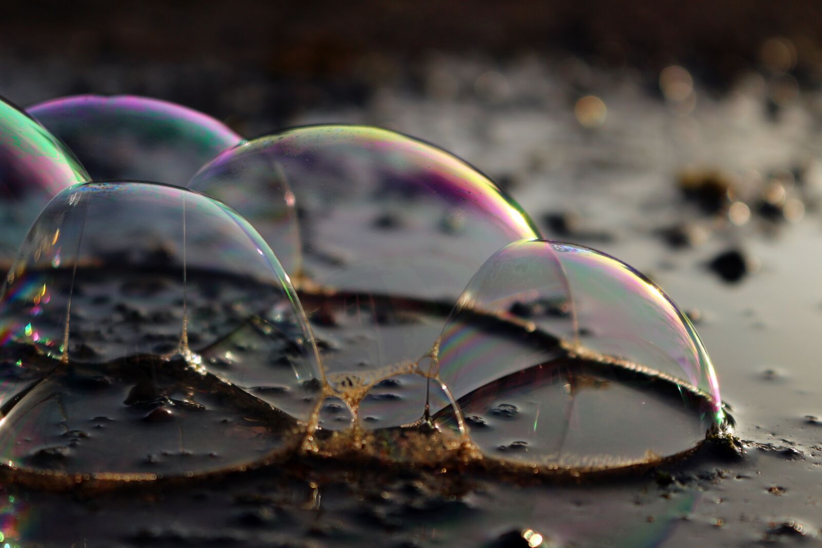 Canon EOS 100D (EOS Rebel SL1 / EOS Kiss X7) sample photo. Blow, soap bubbles, water photography