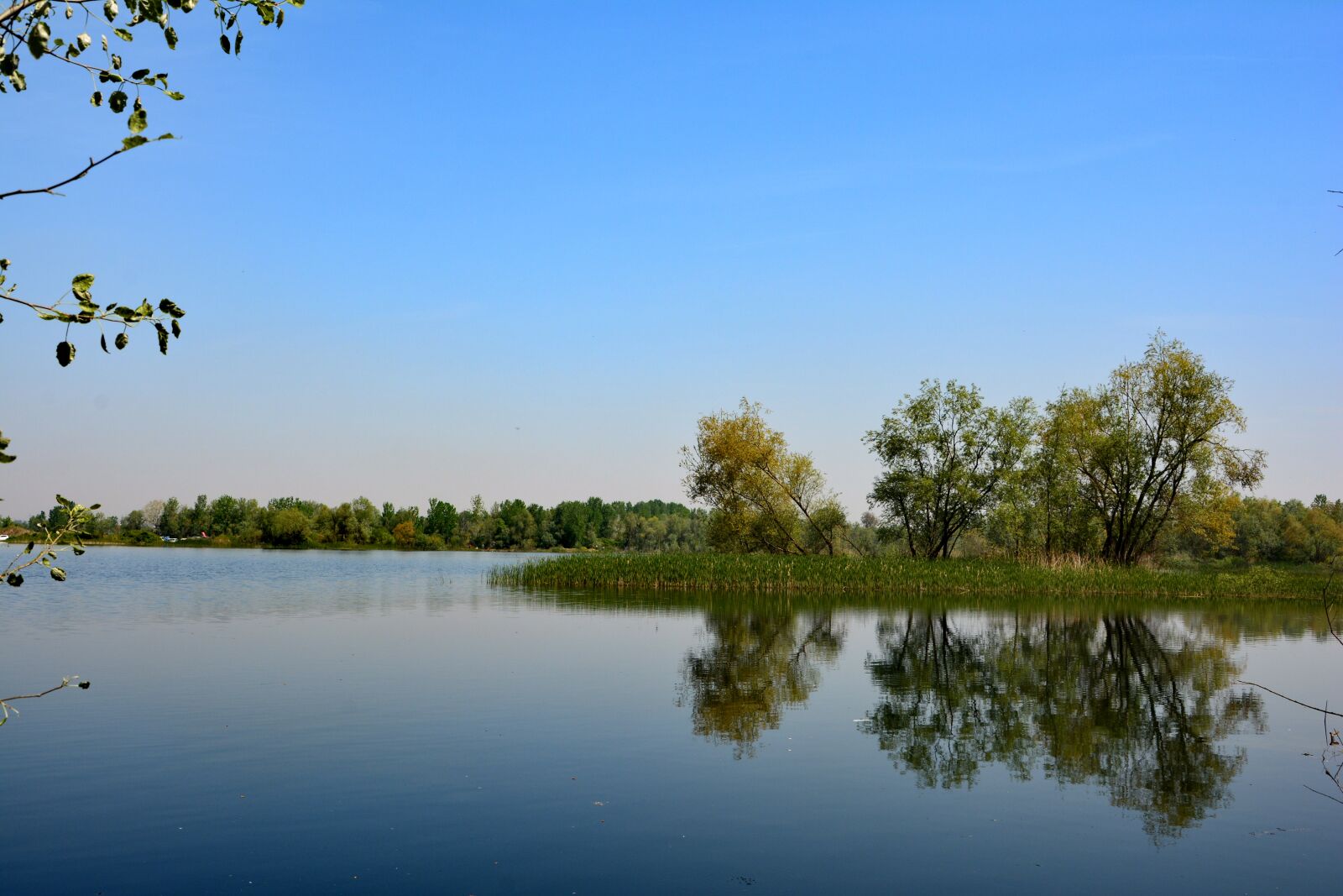 Nikon D7100 sample photo. Nature, sakarya, ponds photography