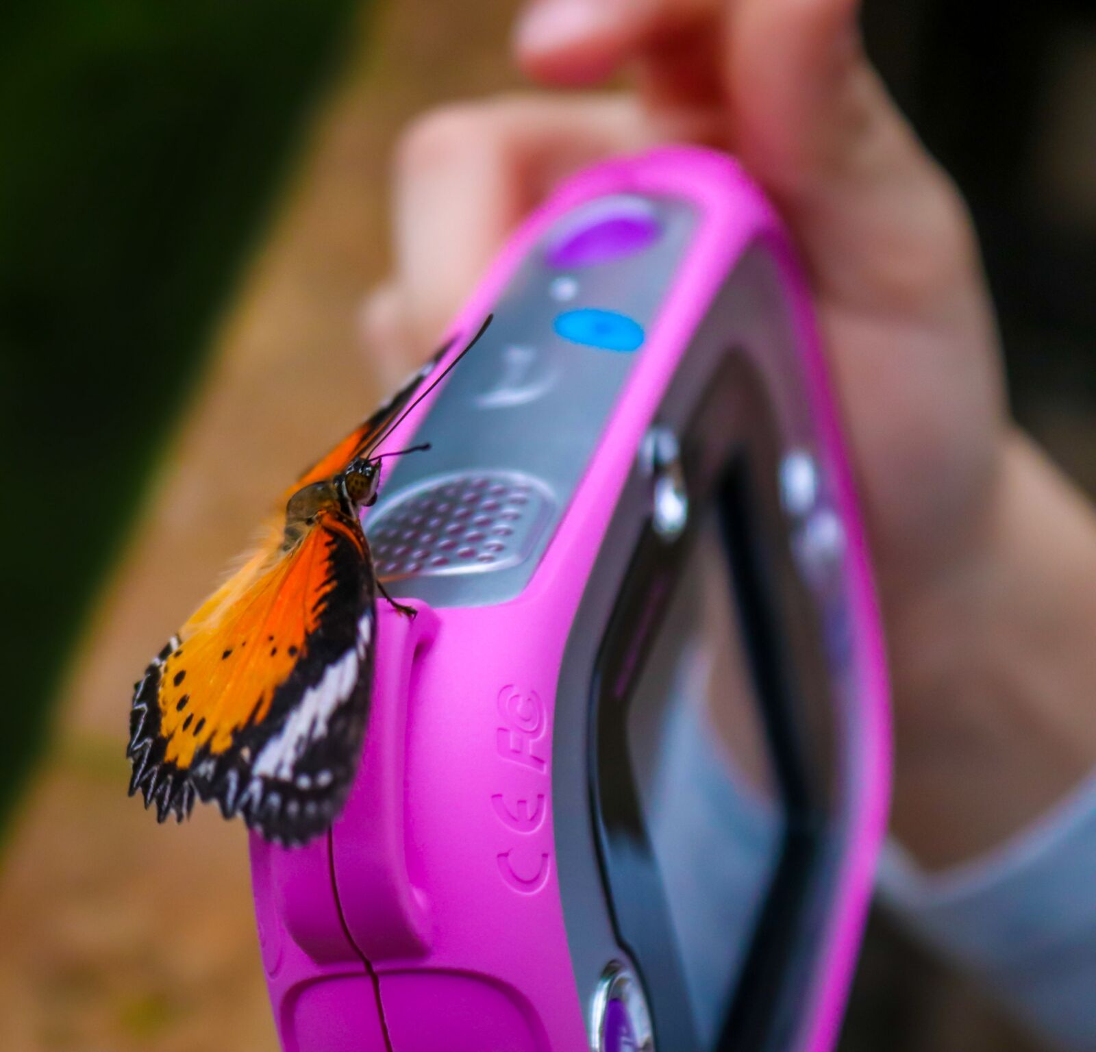 Canon EOS 200D (EOS Rebel SL2 / EOS Kiss X9) sample photo. Butterfly, camera, child photography