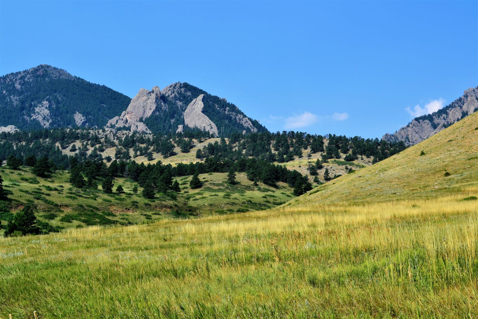 Nikon D3100 sample photo. Colorado, nature, outdoors, rocky photography