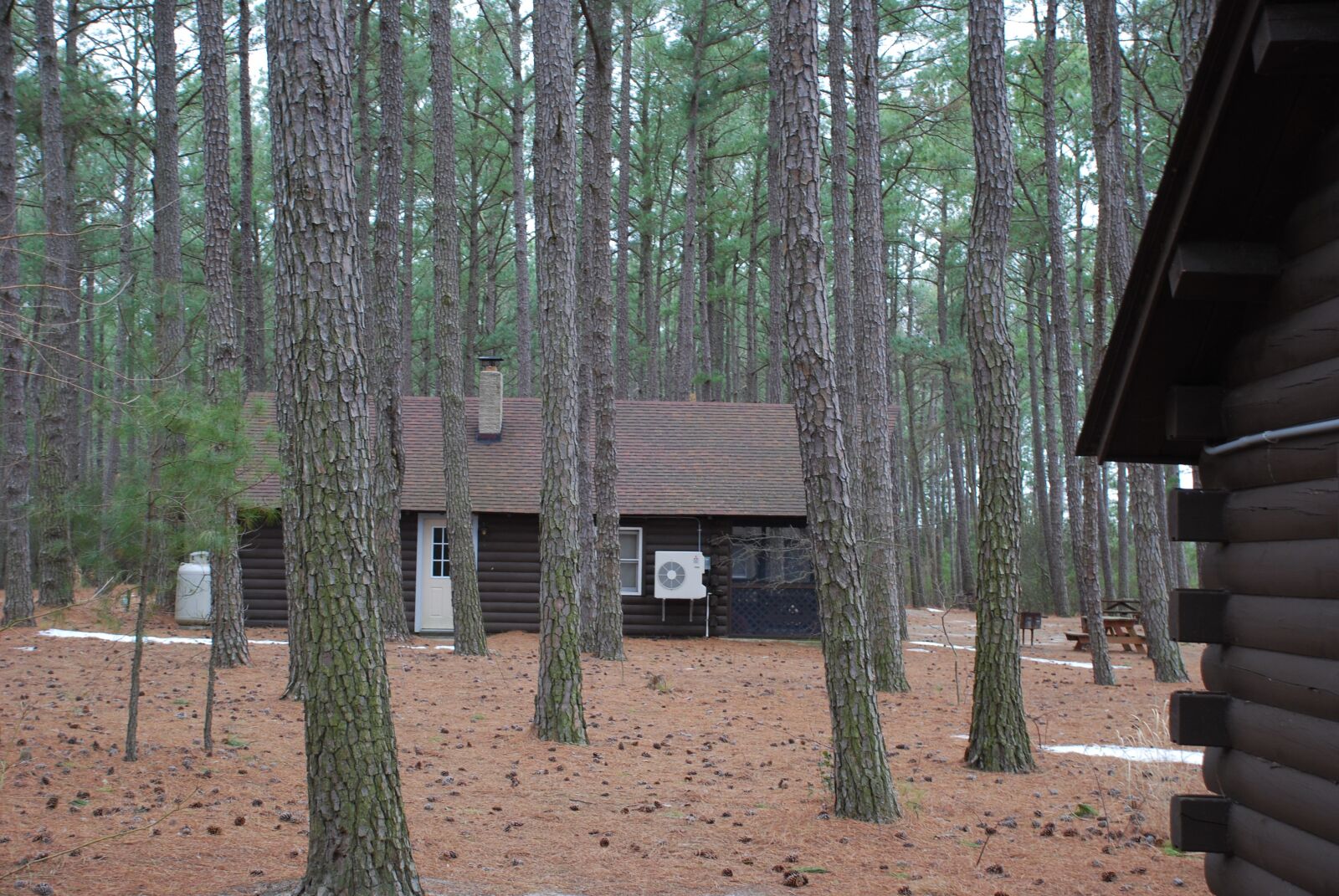 Nikon D40X sample photo. Campground, cabin, outdoor photography