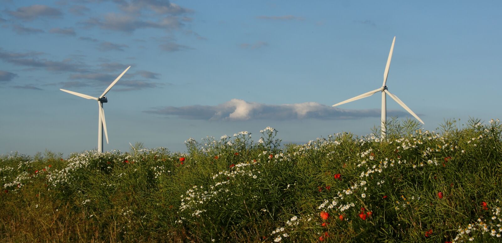 Canon EOS 400D (EOS Digital Rebel XTi / EOS Kiss Digital X) sample photo. Wind turbine, landscape, summer photography
