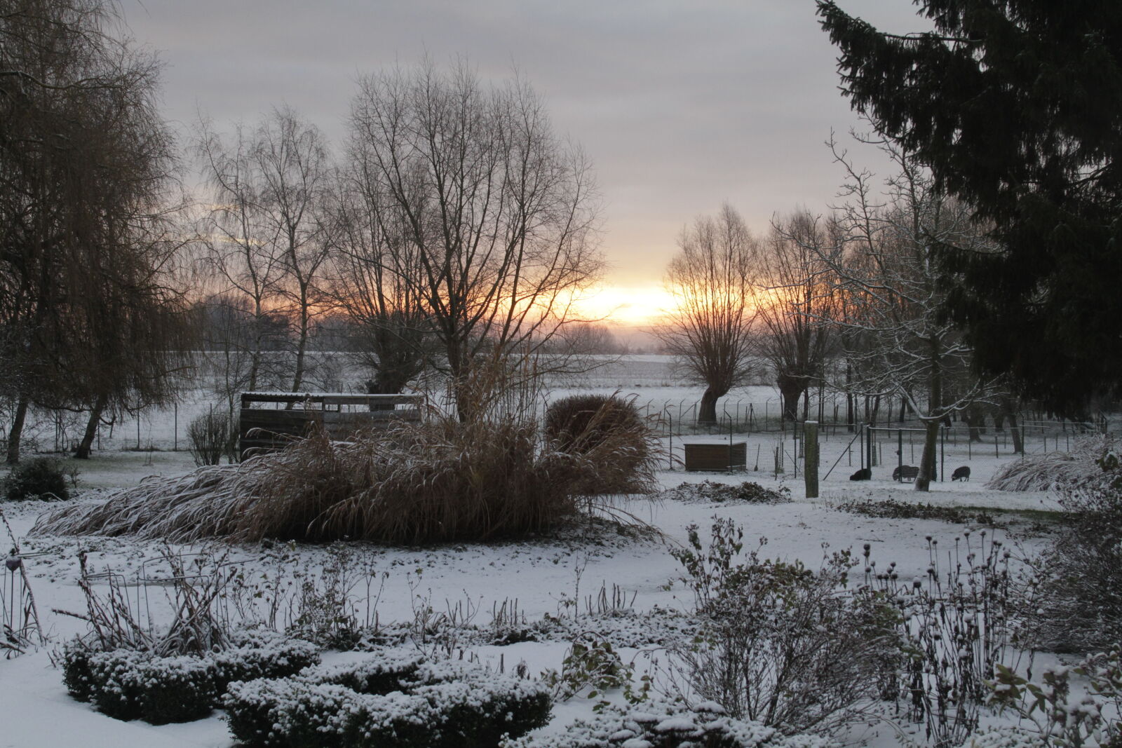 Canon EF 28-70mm f/2.8L USM sample photo. Snow, sunrise, winter photography