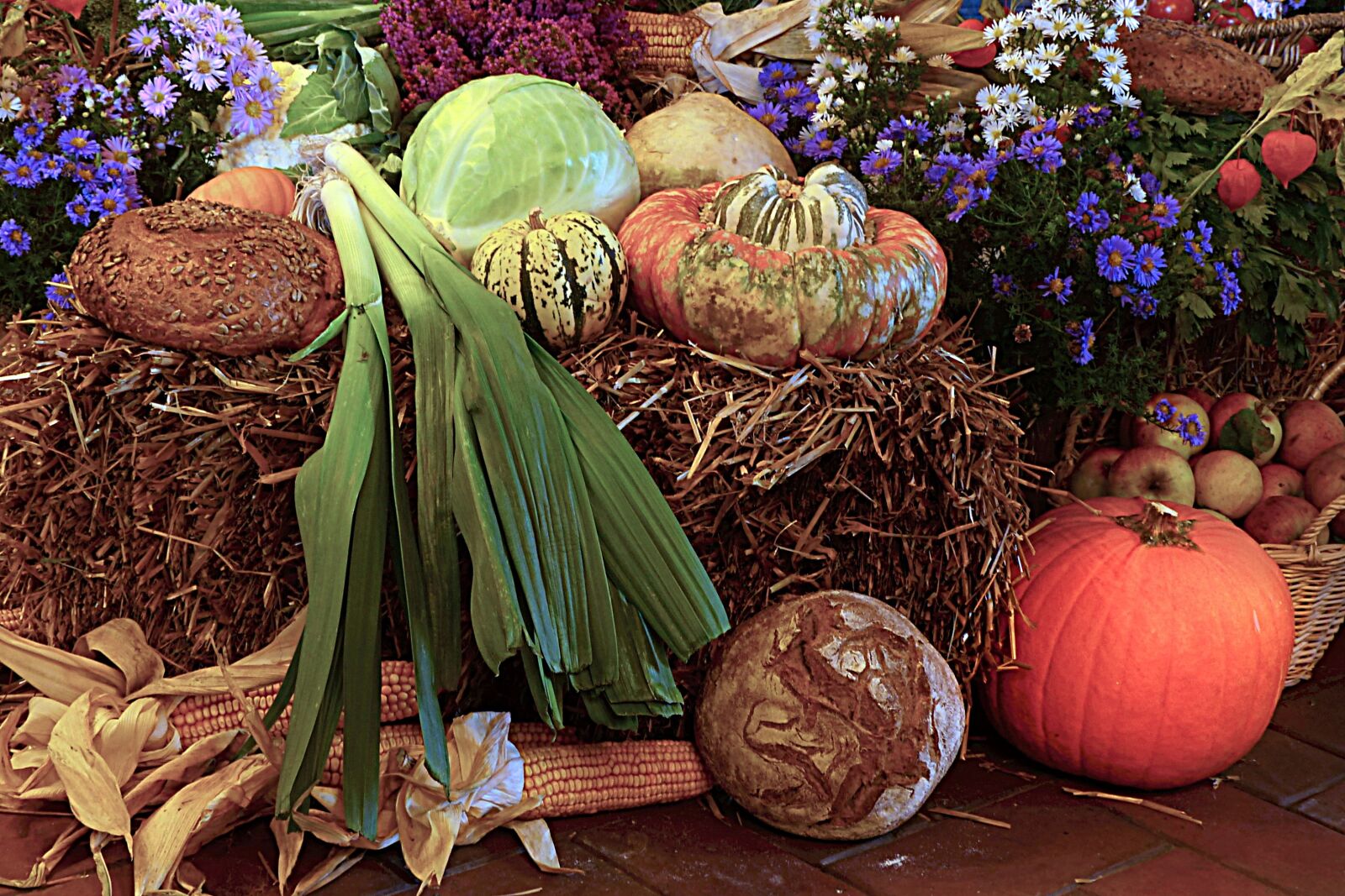 Panasonic Lumix DMC-FZ200 sample photo. Thanksgiving, fruit, cereals photography