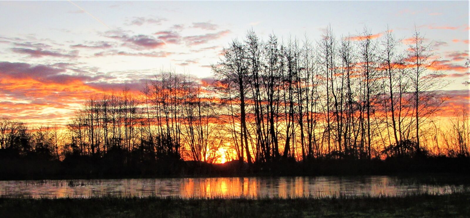 Canon PowerShot SX610 HS sample photo. Banner, nature, sunrise photography