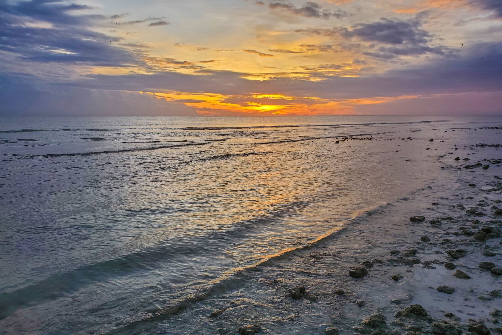 Samsung Galaxy S10 sample photo. Sunset, beach, ocean photography