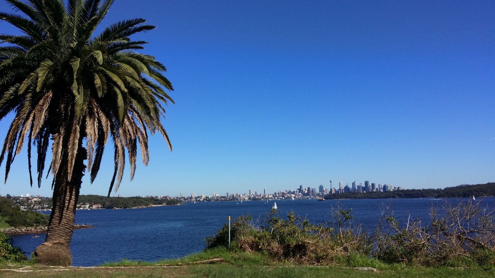 Samsung Galaxy S4 sample photo. Skyline, summer, sydney, water photography