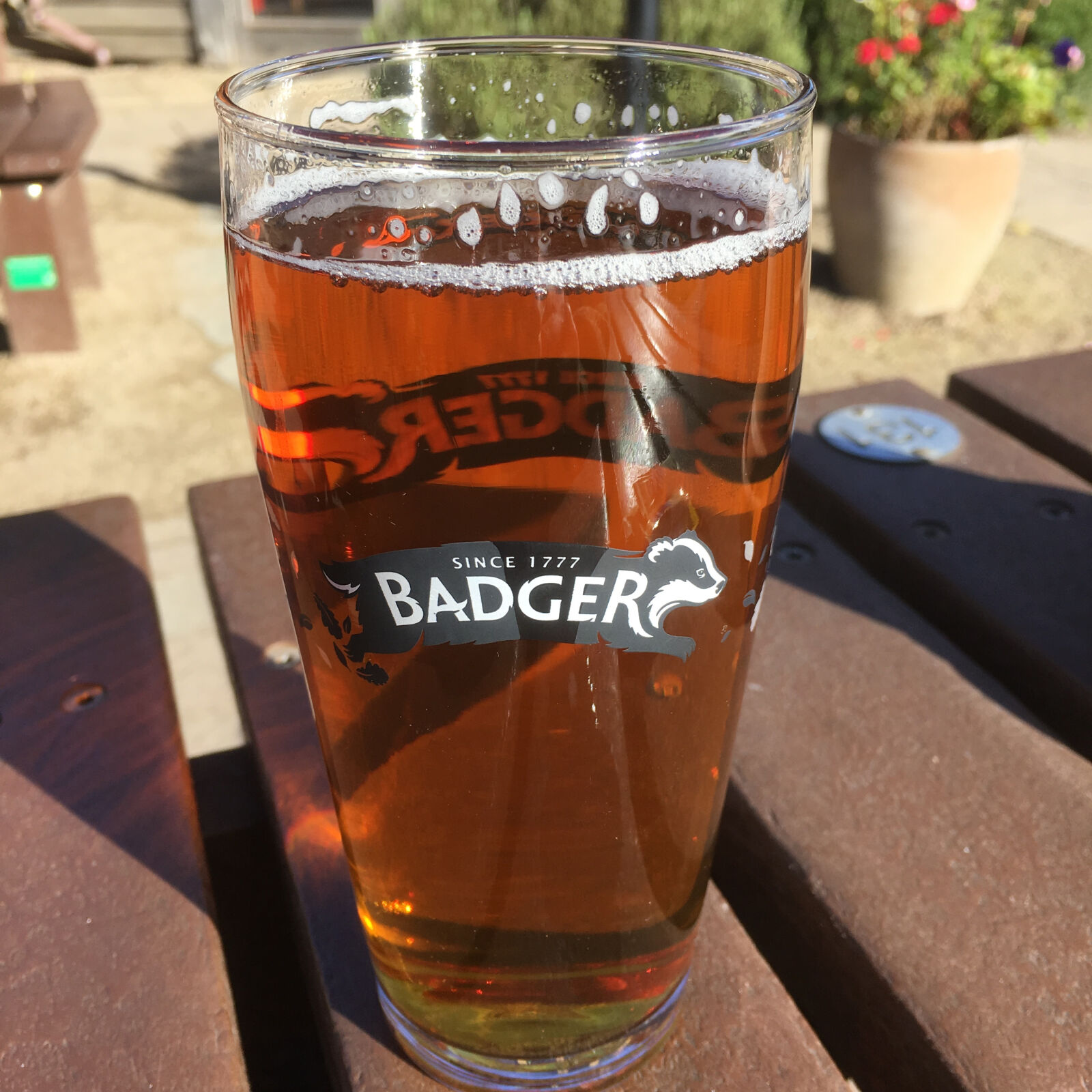 Apple iPhone 6s sample photo. Badger, beer, pint photography