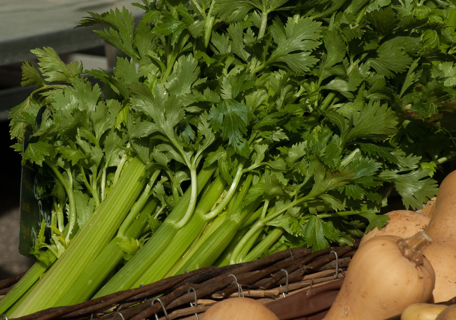 Pentax K10D sample photo. Vegetables, celery, turnips photography