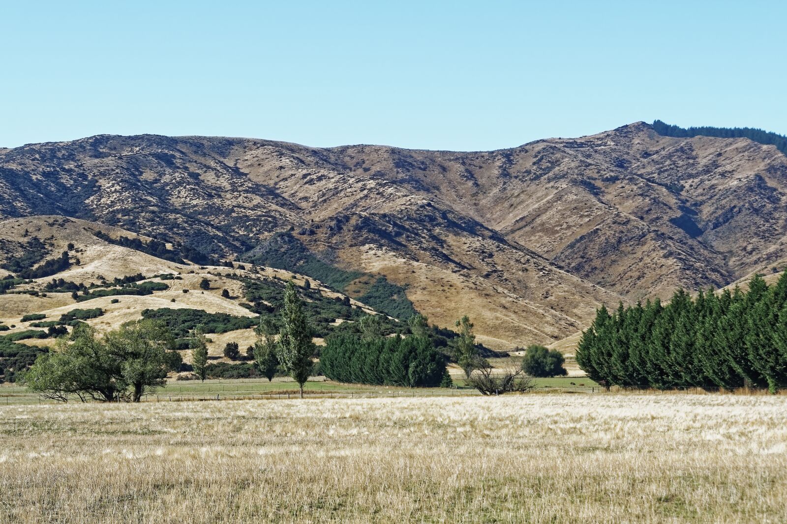 Nikon D500 sample photo. New zealand, mount richmond photography
