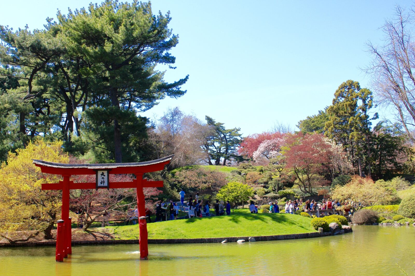 Canon EOS 100D (EOS Rebel SL1 / EOS Kiss X7) sample photo. Japanese, arch, pond photography