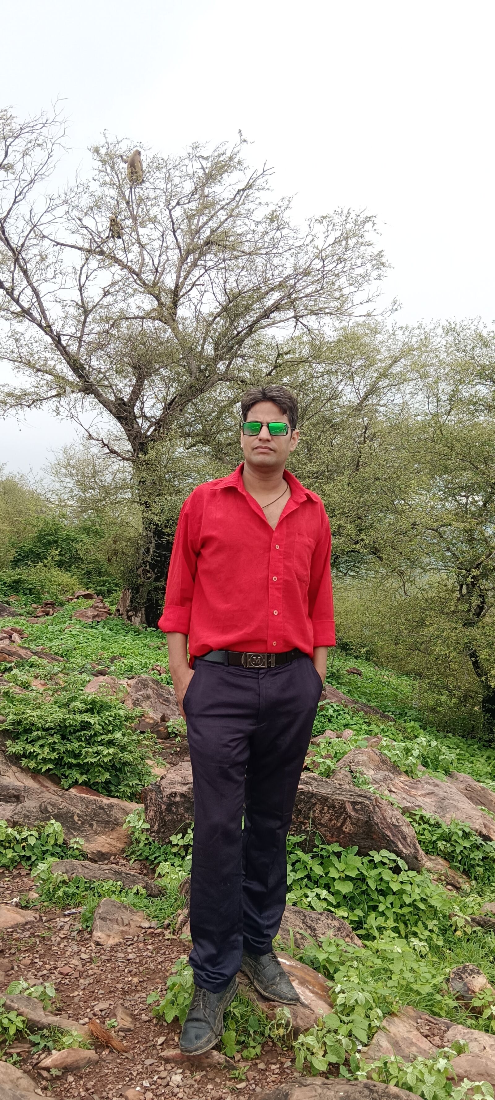 vivo Y56 5G sample photo