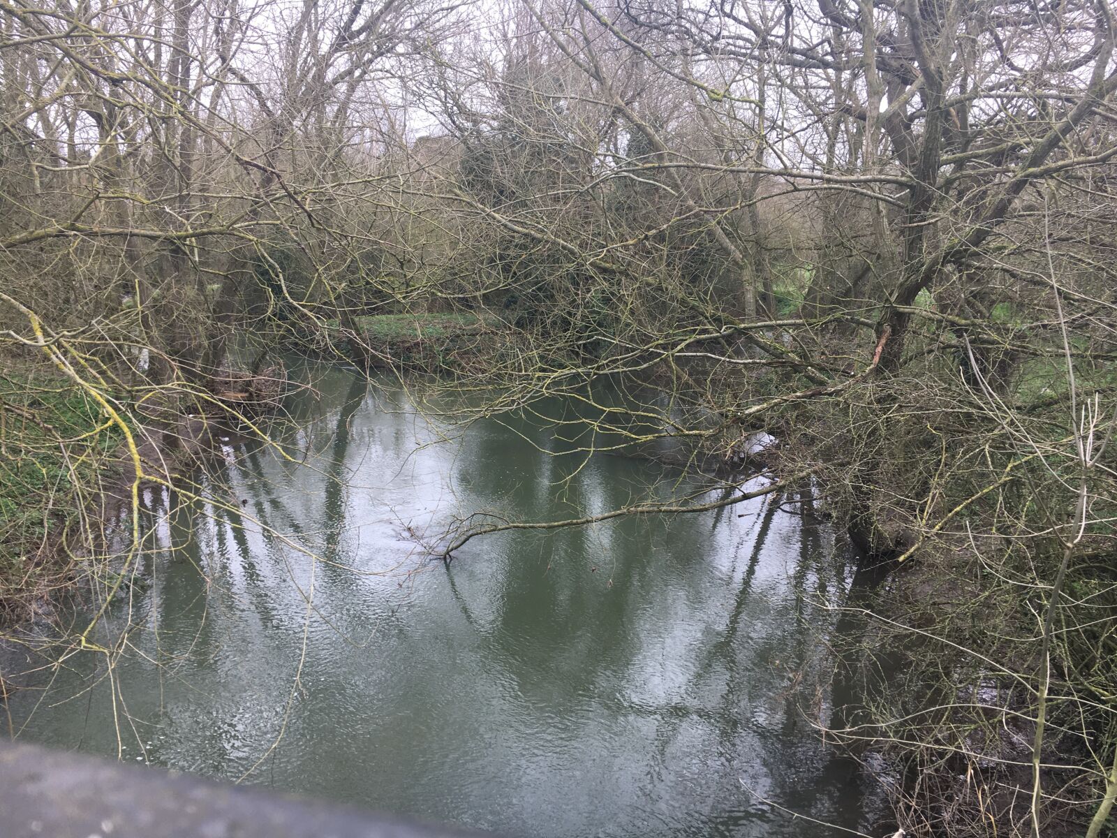 Apple iPhone 6s sample photo. River, trees, winter photography