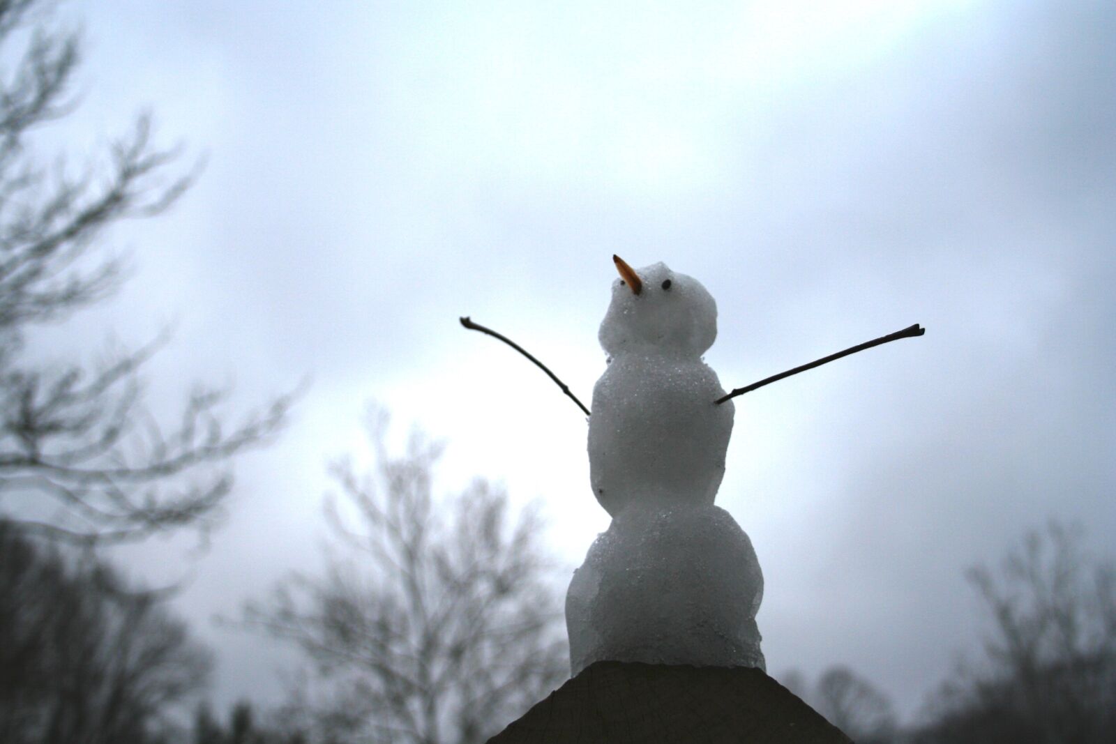 Canon EOS 350D (EOS Digital Rebel XT / EOS Kiss Digital N) sample photo. Snowman, happy, winter photography