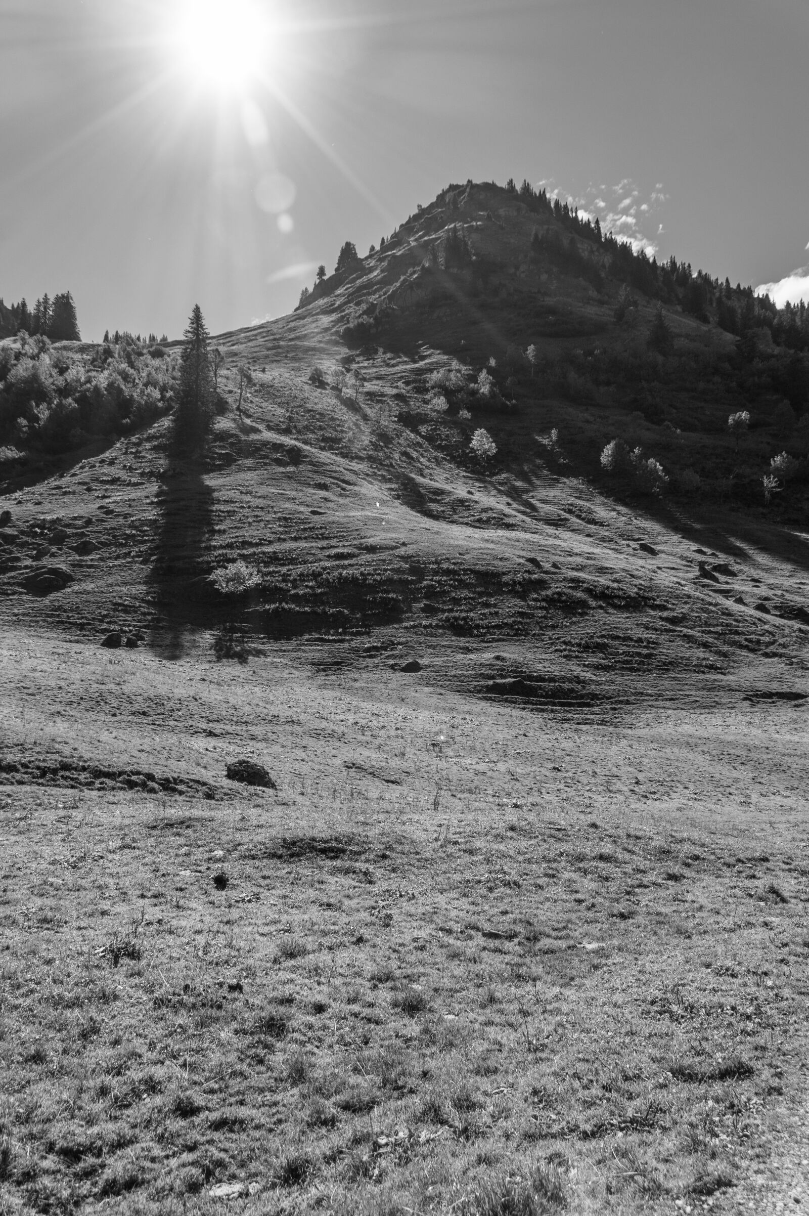 Sony SLT-A58 sample photo. Black and white, mountains photography