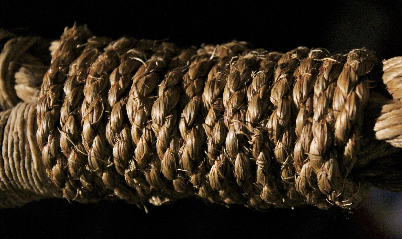 Canon EOS 600D (Rebel EOS T3i / EOS Kiss X5) sample photo. Rope, knot, bind photography