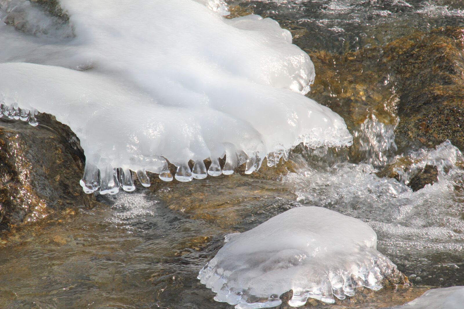 Canon EOS 550D (EOS Rebel T2i / EOS Kiss X4) sample photo. Icicle, river ice, ice photography