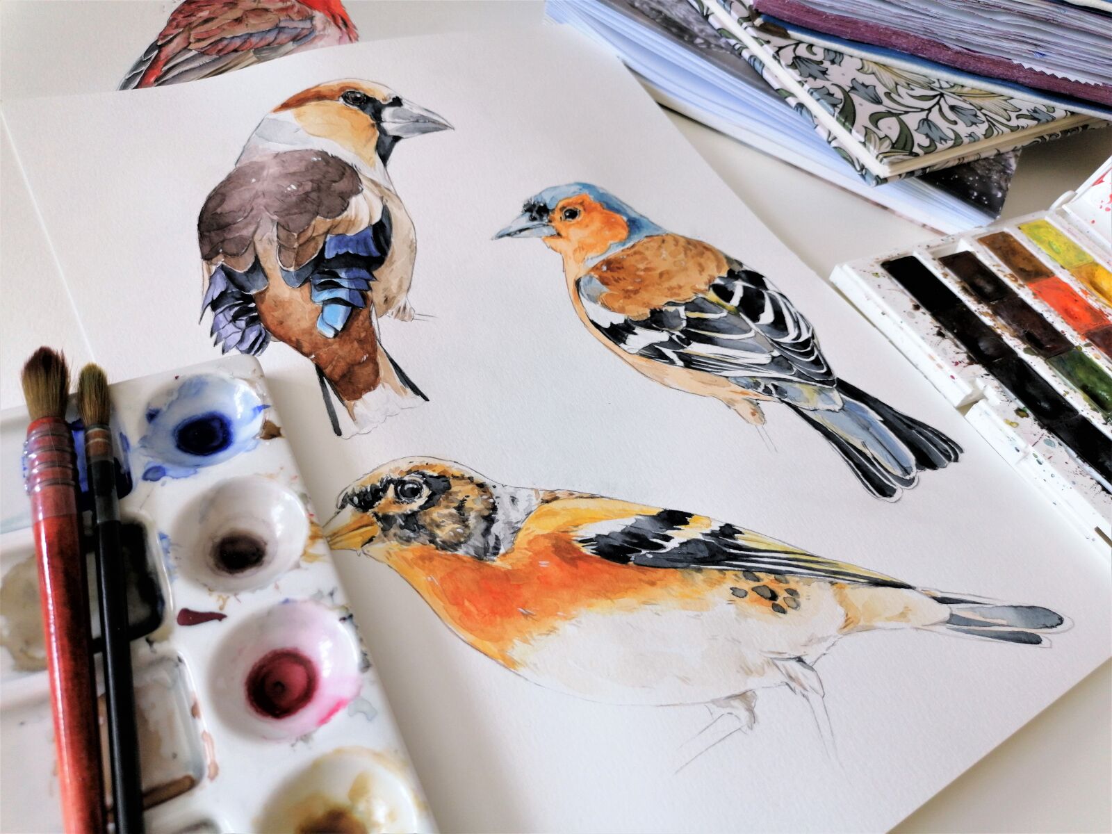HUAWEI P30 LITE sample photo. Birds, drawing, watercolor photography