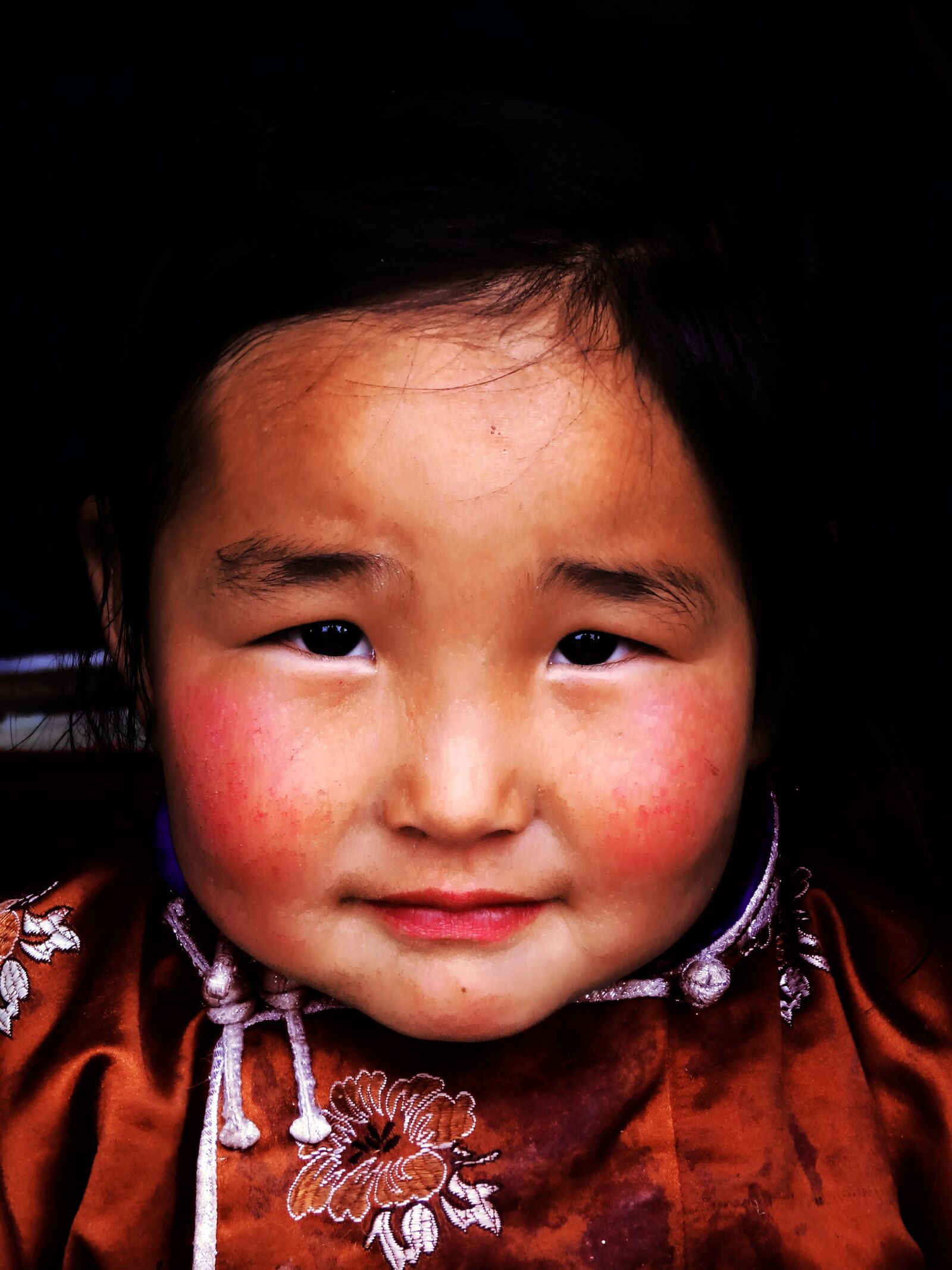 Sony Cyber-shot DSC-HX20V sample photo. Mongolia, travel, nomadic photography