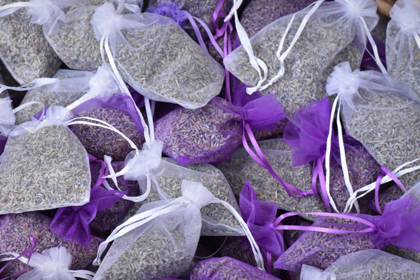Nikon D7200 sample photo. Lavender, provence, france photography