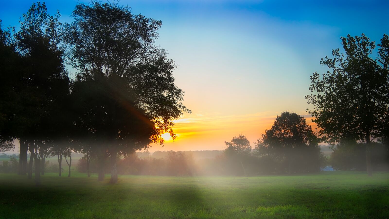 Canon EF-S 17-85mm F4-5.6 IS USM sample photo. Morning, dew, fog photography