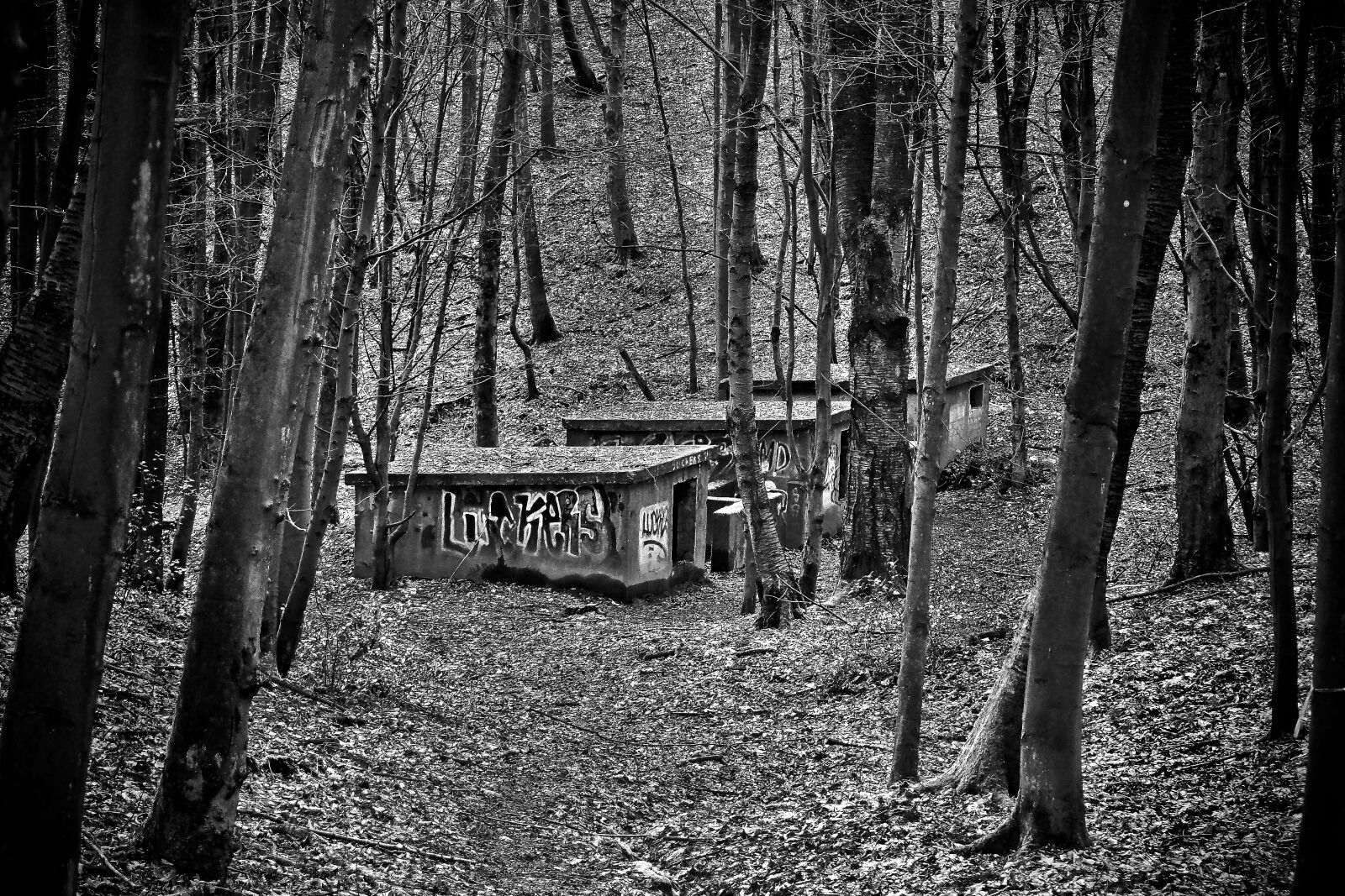 Olympus OM-D E-M10 sample photo. Lost places, bunker, war photography