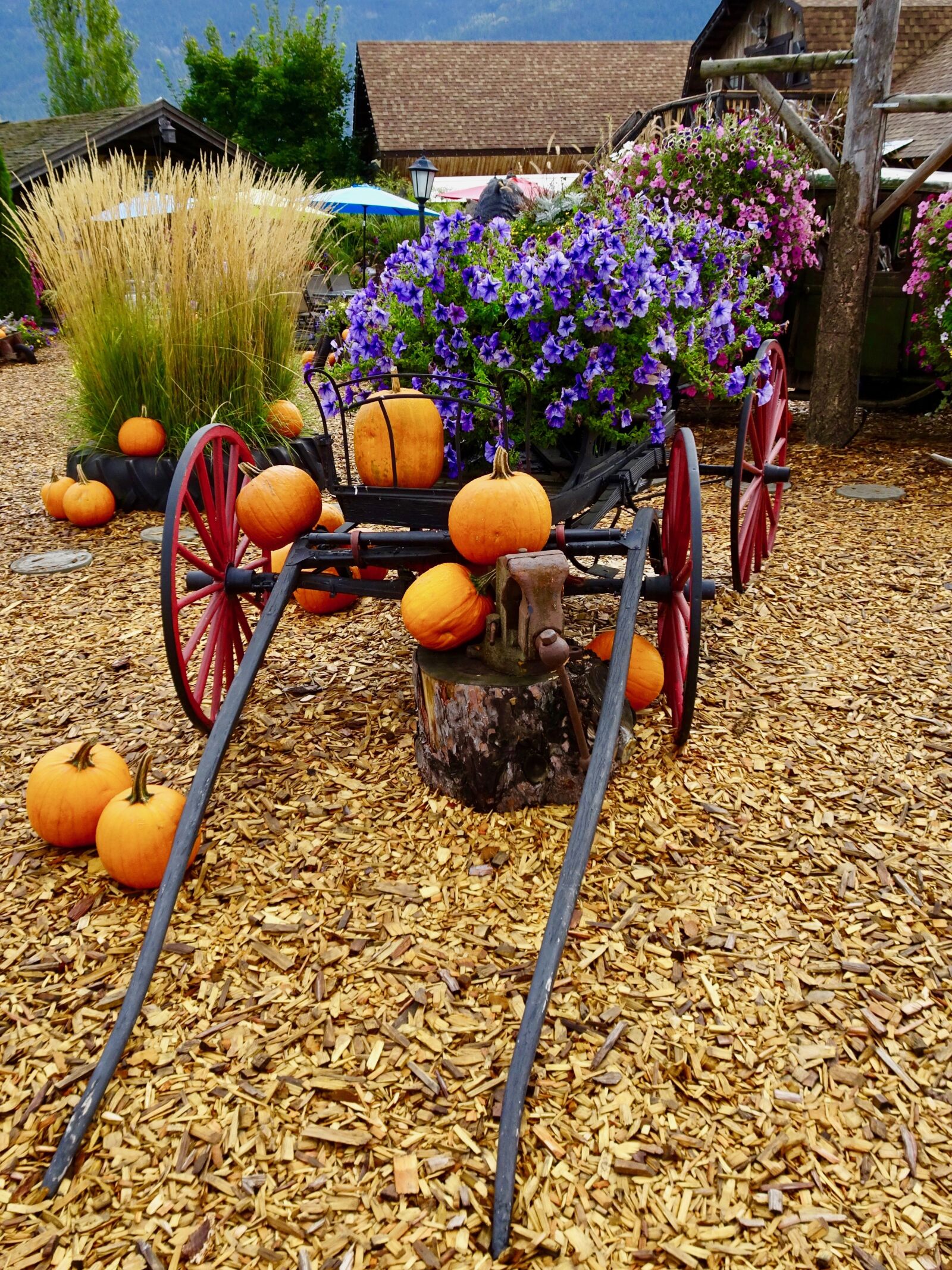 Sony Cyber-shot DSC-HX90V sample photo. Art, cart, flowers photography