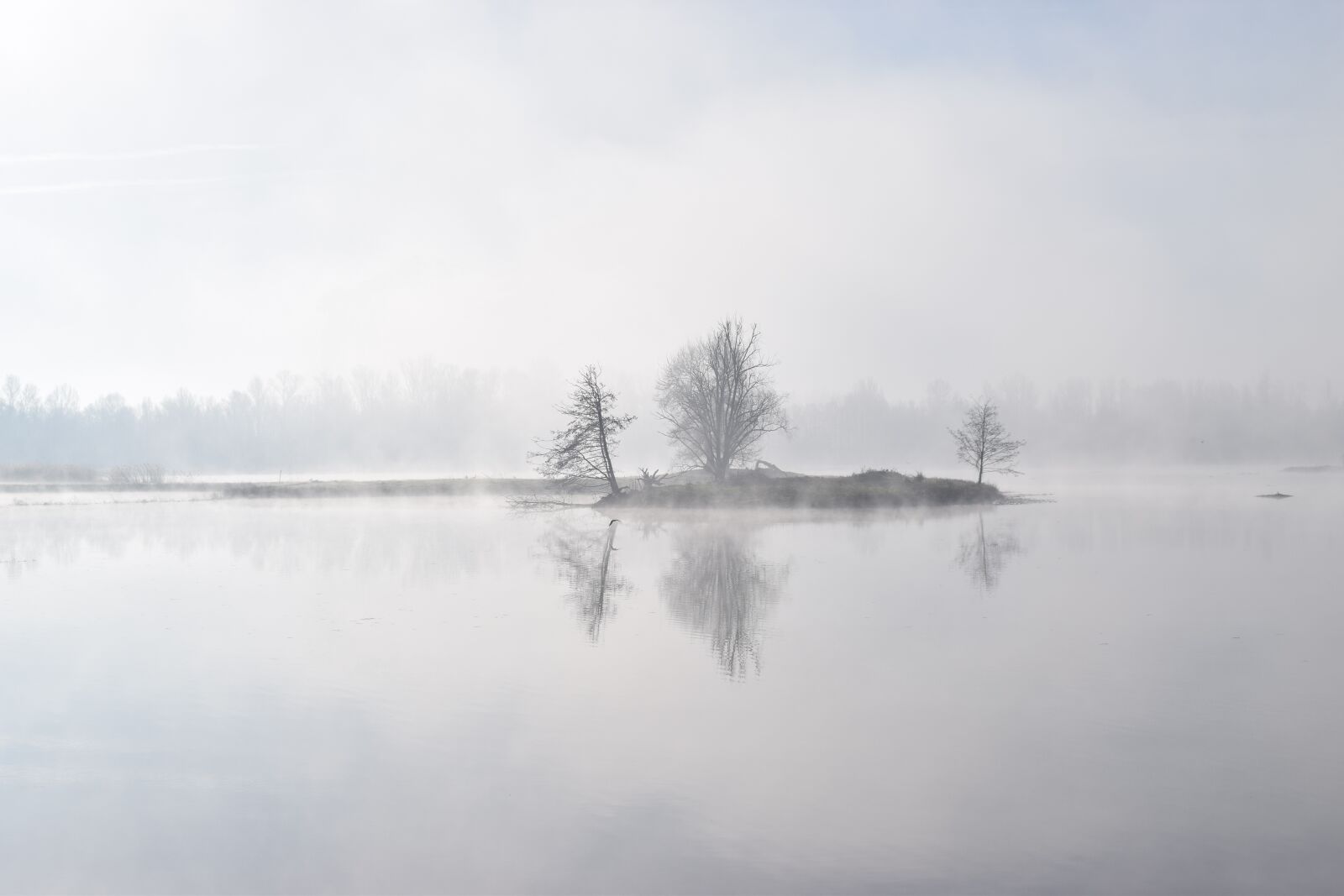 Nikon D5300 sample photo. Fog, tree, water photography